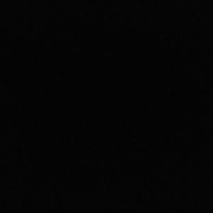 Meet your Posher, Max